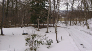 長野県菅平高原 ゆたか山荘 坂上 2026/03/15 10:00