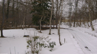 長野県菅平高原 ゆたか山荘 坂上 2026/03/15 10:15