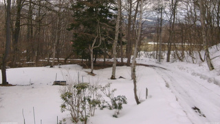 長野県菅平高原 ゆたか山荘 坂上 2026/03/15 11:45