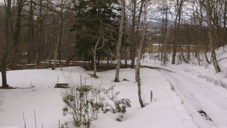 長野県菅平高原 ゆたか山荘 坂上 2026/03/15 12:00