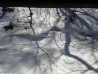 長野県菅平高原 ゆたか山荘 東側(坂下) 2026/03/16 11:00