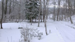 長野県菅平高原 ゆたか山荘 坂上 2026/03/16 06:00