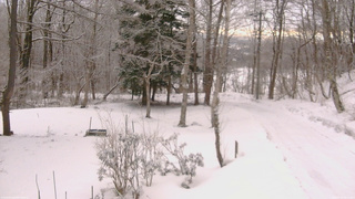 長野県菅平高原 ゆたか山荘 坂上 2026/03/16 06:15