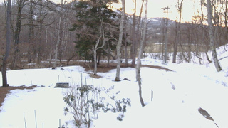 長野県菅平高原 ゆたか山荘 坂上 2026/03/17 06:00