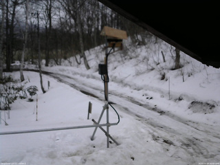 長野県菅平高原 ゆたか山荘 南側 2026/03/18 16:45