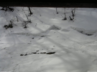 長野県菅平高原 ゆたか山荘 東側(坂下) 2026/03/18 09:45