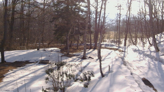 長野県菅平高原 ゆたか山荘 坂上 2026/03/18 07:30