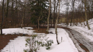 長野県菅平高原 ゆたか山荘 坂上 2026/03/19 09:45