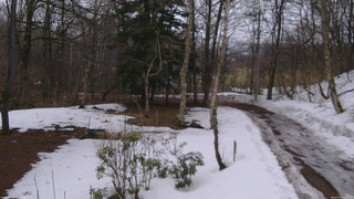 長野県菅平高原 ゆたか山荘 坂上 2026/03/19 13:15