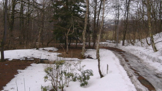 長野県菅平高原 ゆたか山荘 坂上 2026/03/19 13:30