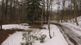 長野県菅平高原 ゆたか山荘 坂上 2026/03/19 14:00