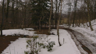 長野県菅平高原 ゆたか山荘 坂上 2026/03/19 14:15