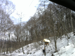 長野県菅平高原 ゆたか山荘 温度計 2026/03/20 11:45