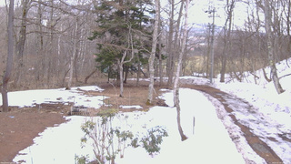 長野県菅平高原 ゆたか山荘 坂上 2026/03/20 13:00