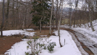 長野県菅平高原 ゆたか山荘 坂上 2026/03/20 13:15