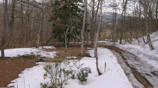 長野県菅平高原 ゆたか山荘 坂上 2026/03/20 13:30