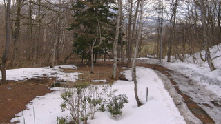 長野県菅平高原 ゆたか山荘 坂上 2026/03/20 13:45