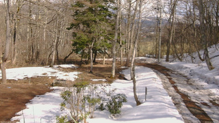 長野県菅平高原 ゆたか山荘 坂上 2026/03/20 14:00