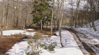 長野県菅平高原 ゆたか山荘 坂上 2026/03/20 14:15