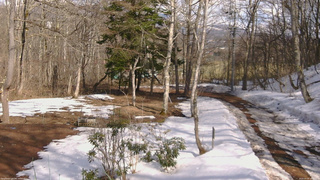 長野県菅平高原 ゆたか山荘 坂上 2026/03/20 14:30