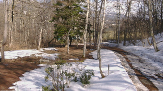 長野県菅平高原 ゆたか山荘 坂上 2026/03/20 14:45