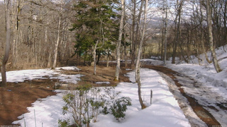長野県菅平高原 ゆたか山荘 坂上 2026/03/20 15:00