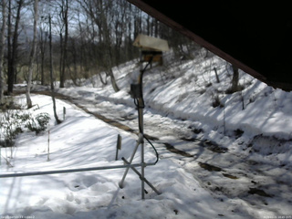 長野県菅平高原 ゆたか山荘 南側 2026/03/21 10:45