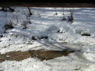 長野県菅平高原 ゆたか山荘 東側(坂下) 2026/03/21 08:00