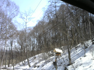 長野県菅平高原 ゆたか山荘 温度計 2026/03/21 11:45