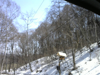 長野県菅平高原 ゆたか山荘 温度計 2026/03/21 12:00