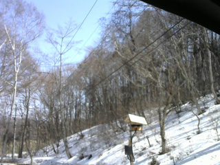 長野県菅平高原 ゆたか山荘 温度計 2026/03/21 13:15