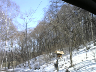 長野県菅平高原 ゆたか山荘 温度計 2026/03/21 13:45