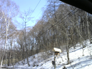 長野県菅平高原 ゆたか山荘 温度計 2026/03/21 14:00