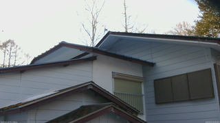 長野県菅平高原 ゆたか山荘 駐車場奥 2026/03/21 16:30