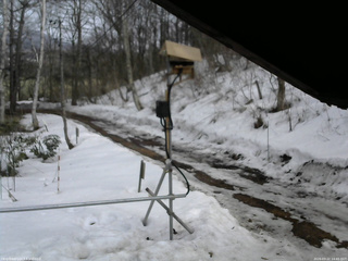 長野県菅平高原 ゆたか山荘 南側 2026/03/22 14:45