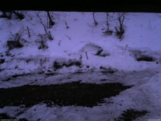 長野県菅平高原 ゆたか山荘 東側(坂下) 2026/03/22 18:15