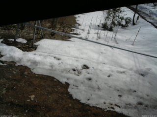 長野県菅平高原 ゆたか山荘 駐車場 2026/03/22 10:45