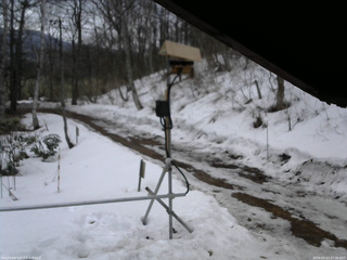 長野県菅平高原 ゆたか山荘 南側 2026/03/23 07:30