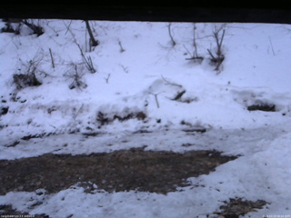 長野県菅平高原 ゆたか山荘 東側(坂下) 2026/03/23 06:00