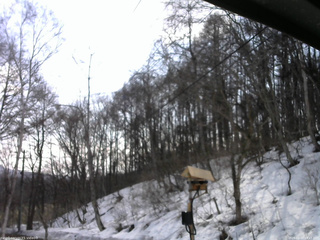 長野県菅平高原 ゆたか山荘 温度計 2026/03/23 10:15