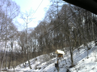 長野県菅平高原 ゆたか山荘 温度計 2026/03/23 11:45
