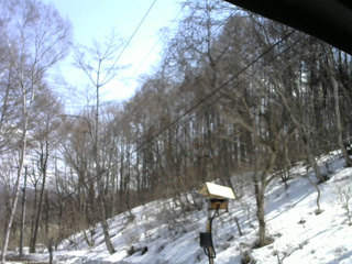 長野県菅平高原 ゆたか山荘 温度計 2026/03/23 12:15