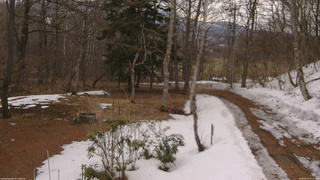 長野県菅平高原 ゆたか山荘 坂上 2026/03/23 07:15