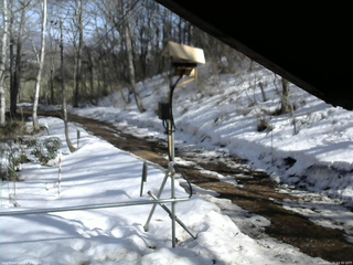 長野県菅平高原 ゆたか山荘 南側 2026/03/24 14:30