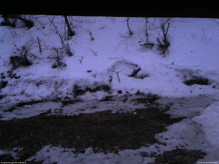 長野県菅平高原 ゆたか山荘 東側(坂下) 2026/03/24 05:30
