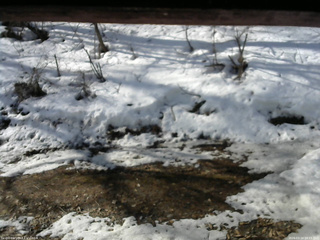 長野県菅平高原 ゆたか山荘 東側(坂下) 2026/03/24 08:15