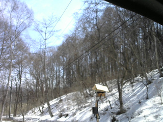 長野県菅平高原 ゆたか山荘 温度計 2026/03/24 11:30
