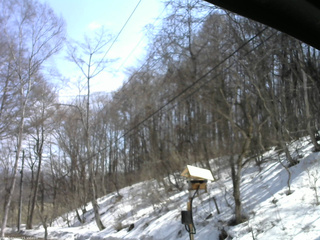 長野県菅平高原 ゆたか山荘 温度計 2026/03/24 11:45