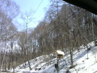 長野県菅平高原 ゆたか山荘 温度計 2026/03/24 12:00