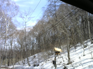 長野県菅平高原 ゆたか山荘 温度計 2026/03/24 13:30